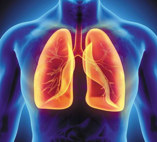 Best Hospital for Lungs Treatment